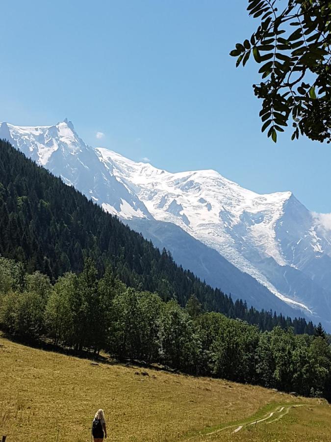 Appartement Typique,Chaleureux Et Pratique Chamonix Ngoại thất bức ảnh