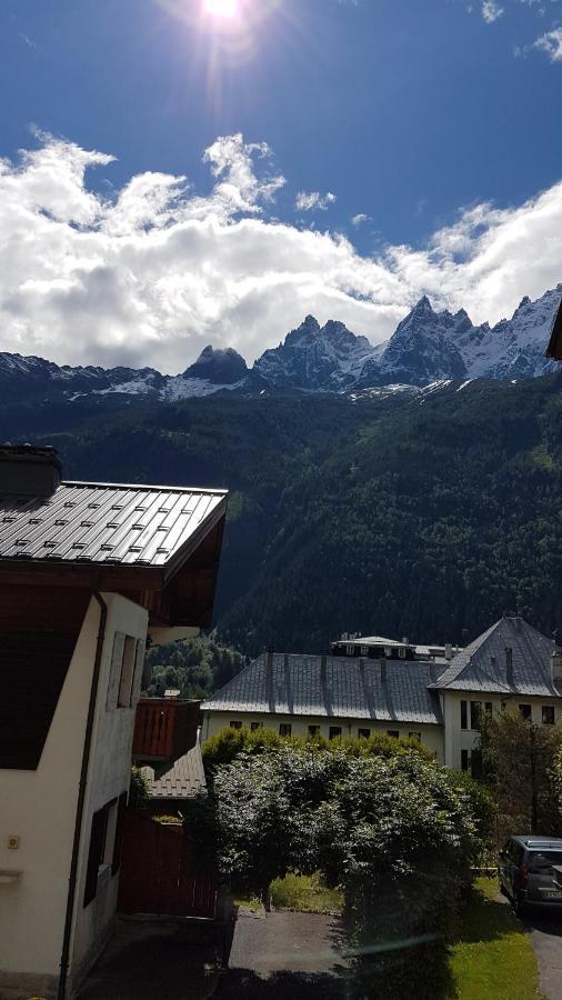 Appartement Typique,Chaleureux Et Pratique Chamonix Ngoại thất bức ảnh